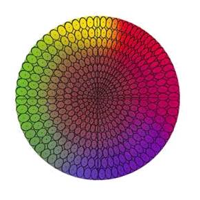 A 2D view of color as a series of ellipses