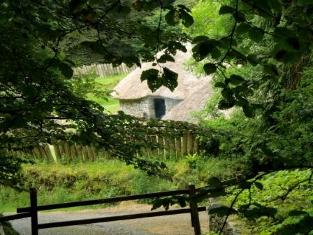 A glimpse of the ringfort at Craggaunowen