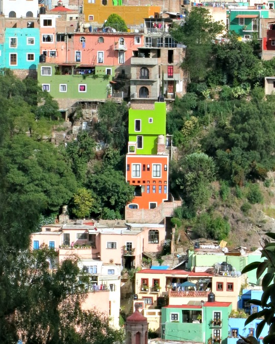 Colorful houses punctuate the hillside in Guanajuato City, Mexico