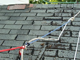 DIY Roofing Safety Strap - The red attaches to my shirt - The blue bungee gives me some spring