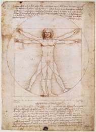 vitruvian man