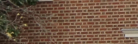 Flemish bond