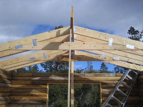 Log Cabin with rafters in place