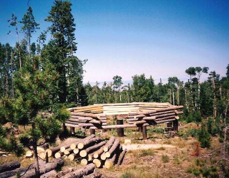 The cabin with part of the walls up.