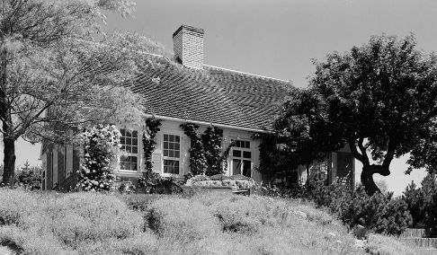 Cape Cod house covered in vines