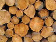 Ends of Logs Stacked for Drying