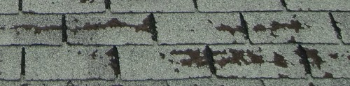 My roof's worn shingles - in need of a roof repair