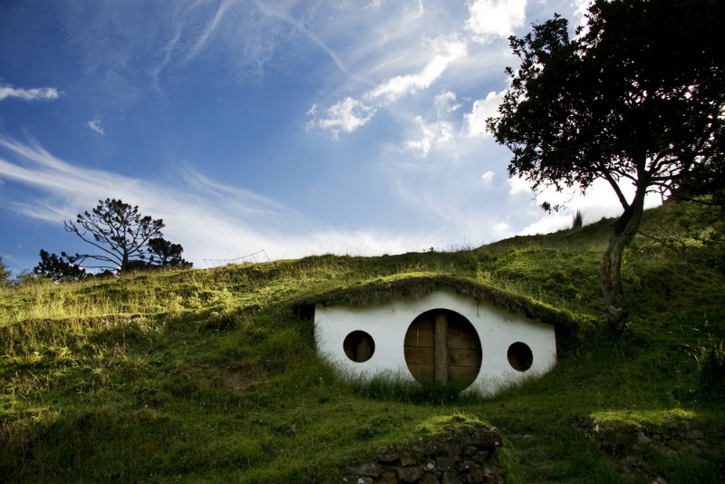 Biophilic Design - At One with Nature