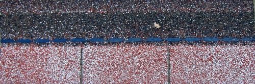 Pink Roof Shingle from CertainTeed - The Color is called Coral Frost