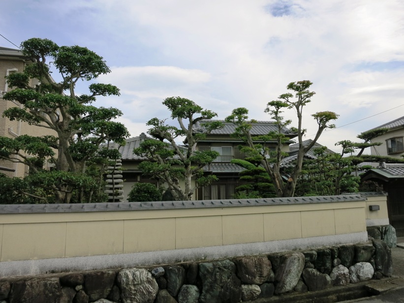 Walled gardens are part of the look in Japan.  It makes it difficult to get pictures of houses and makes the roads seem especially narrow.