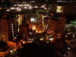 The Stata Center at night