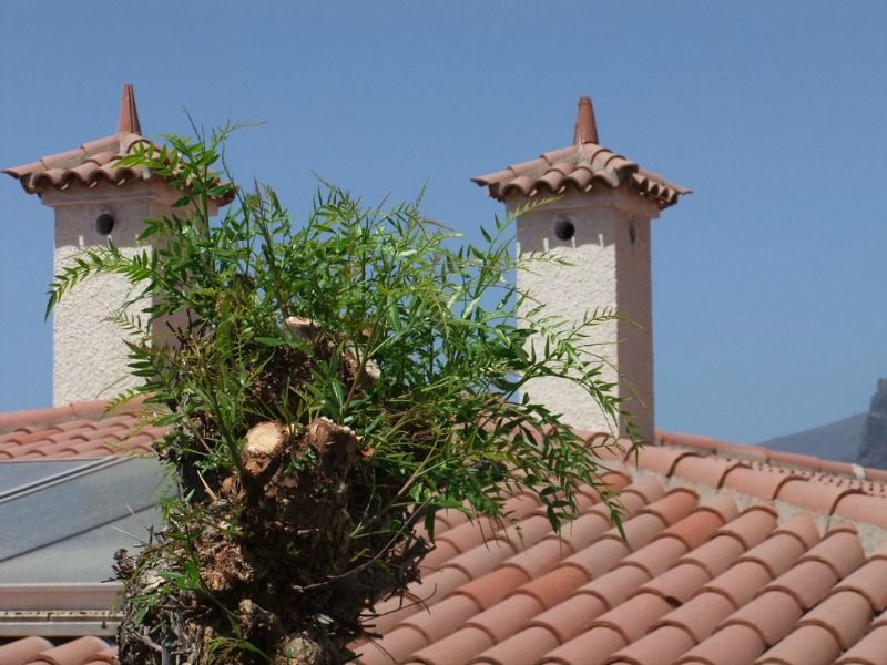 Spanish tile caps these chimneys for a dramatic effect