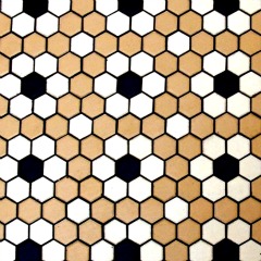 Flower Floor Tile Pattern - using hexagonal tiles - bathroom tile design ideas