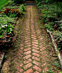 This Herring Bone Pattern has cement between each brick, which is not advised because of the obvious growth.