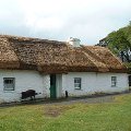 The medium-sized farm found at Muckross