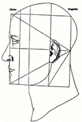 renaissance depiction of the proportions of a face