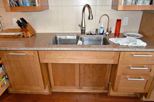 An Accessible Kitchen Sink